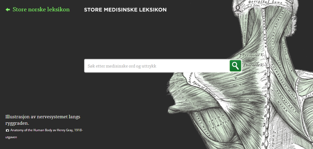 Store Medisinske Leksikon Får Nytt Liv – Leksikonbloggen – Store Norske ...